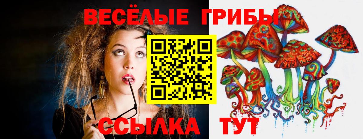 Псилоцибиновые грибы MAGIC MUSHROOMS Казань