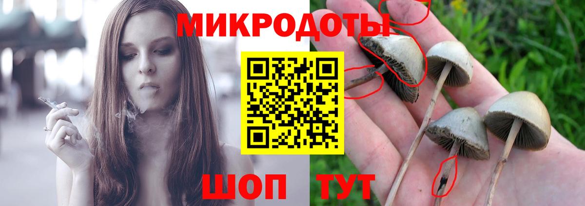 Псилоцибиновые грибы Psilocybine cubensis  Вход с VPN  Казань 